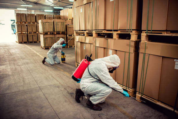 Best Termite Control Services  in Owings Mills, MD