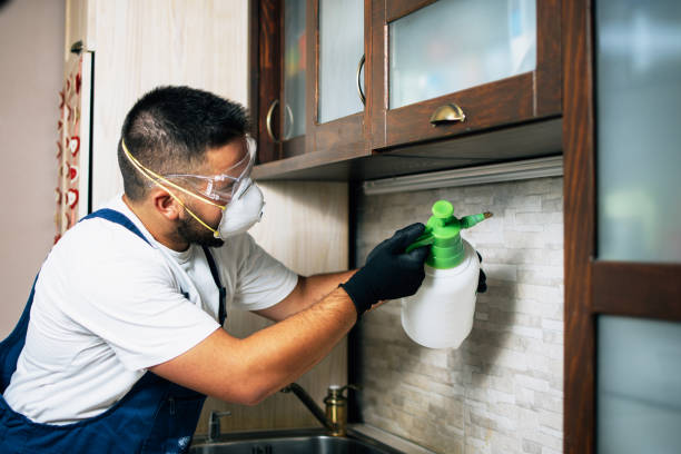 Best Pest Prevention Services  in Owings Mills, MD