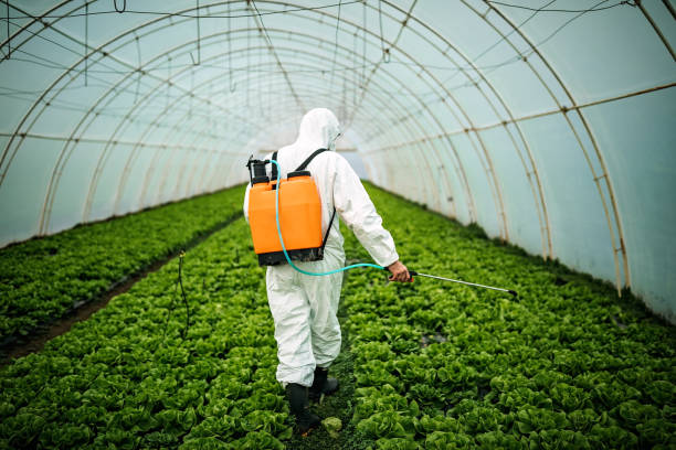 Pest Control Cost in Owings Mills, MD