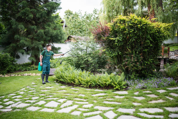 Best Pest Control Near Me  in Owings Mills, MD